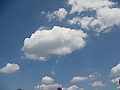 Western Michigan [2010] 330